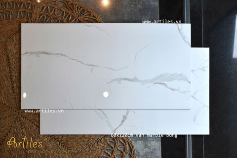  Gạch Bóng Kiếng 40x80 Vân Đá ArtVS808 