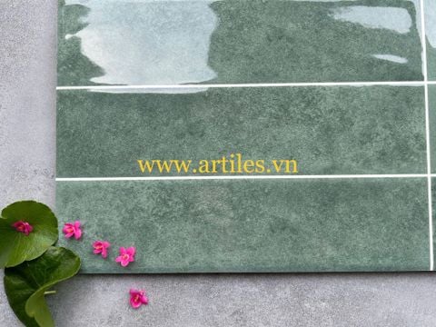  Gạch ốp tường trang trí 30x60cm ArtC862 