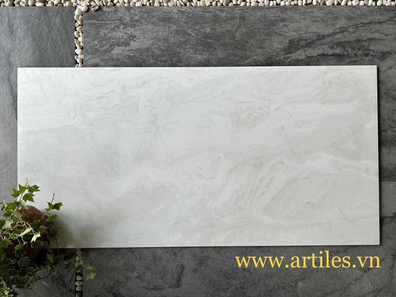Gạch vân đá mờ màu kem 60x120cm Art61201