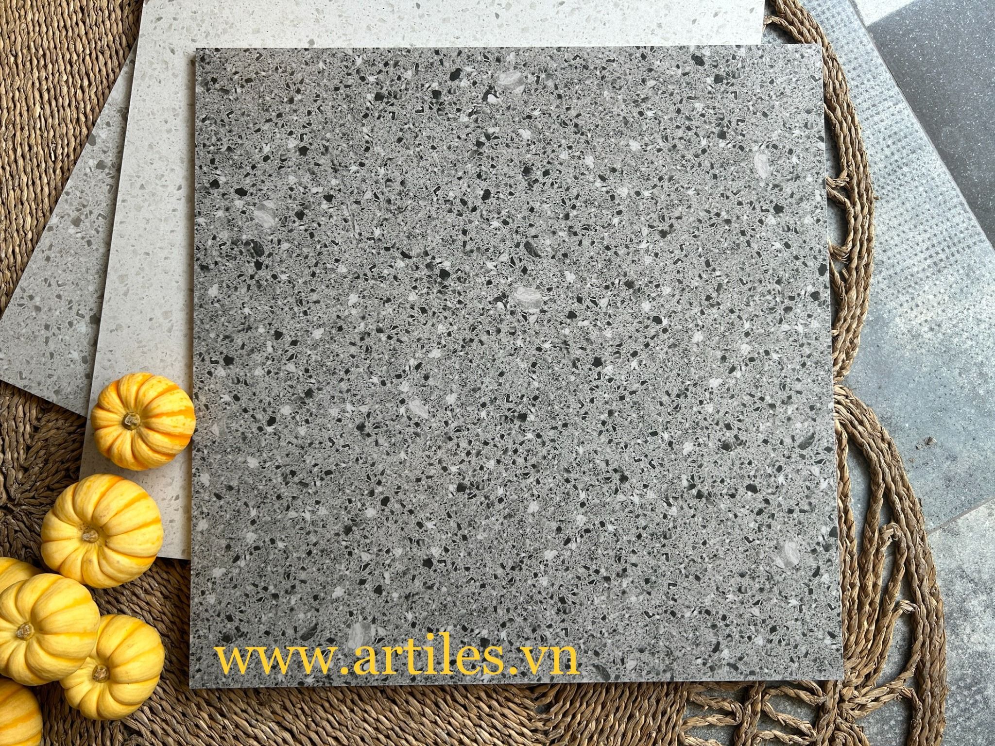 Gạch Đá Mài 80x80cm Art8080 - Ter21