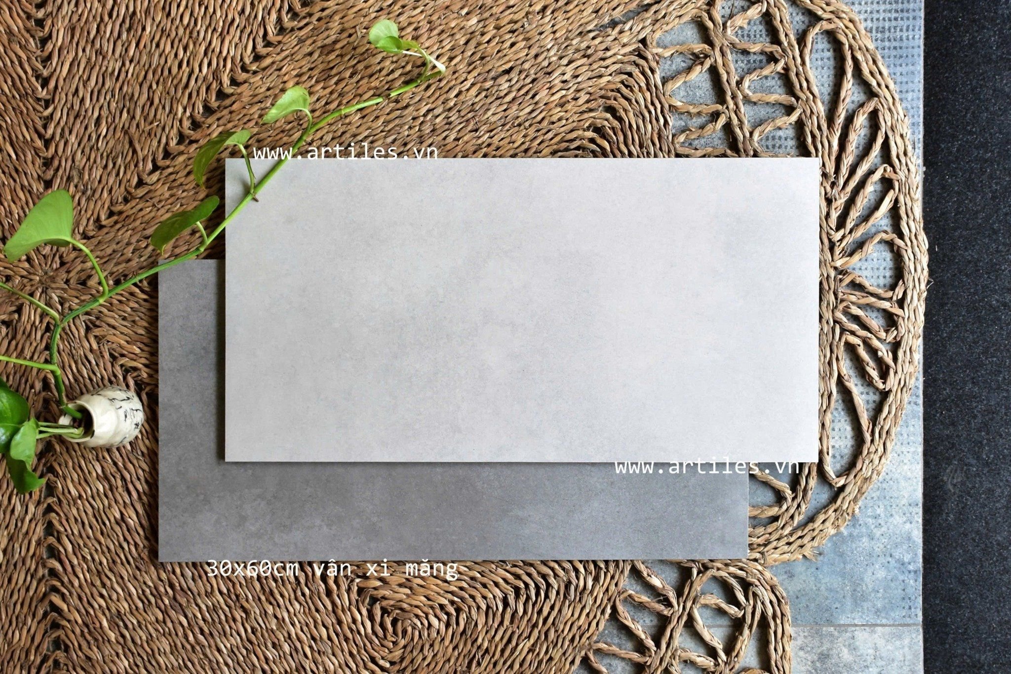 Gạch bê tông 30x60cm Art3603