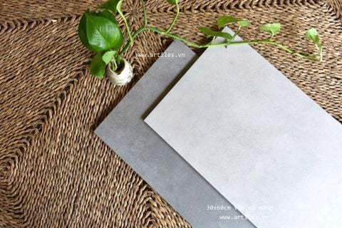  Gạch bê tông 30x60cm Art3603 