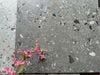 Gạch Terrazzo đá mài 40x80cm Art503M