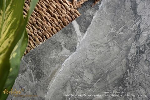  Gạch ốp lát cao cấp Color body - gạch xương màu 60x120cm 