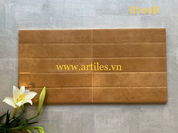 Gạch ốp tường trang trí 30x60cm ArtR109B