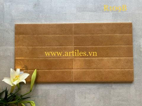  Gạch ốp tường trang trí 30x60cm ArtR109B 