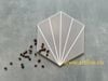 Gạch lục giác cánh quạt 5 tia
