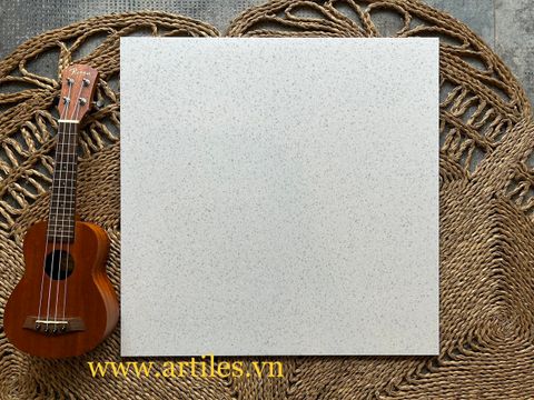  Gạch 60x60 Terazzo tại TP.HCM 