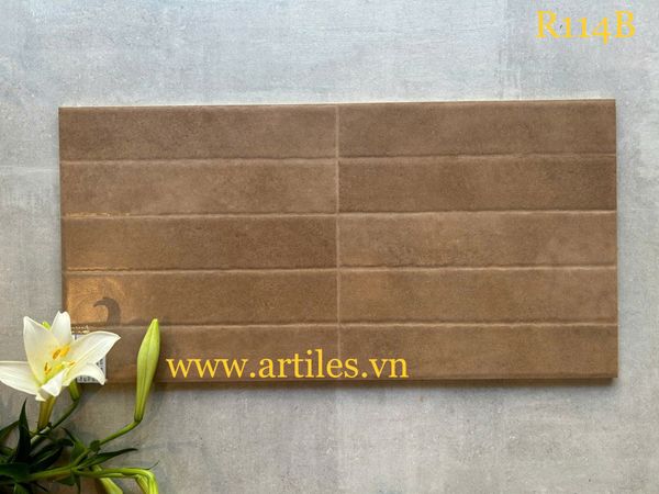 Gạch ốp tường trang trí 30x60cm ArtR114B