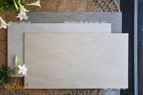  Gạch ốp lát 60x120cm mờ vân đá màu kem beige Art503M 