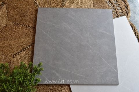 Gạch 80x80 vân đá mờ Art8080 - 08 -M02 