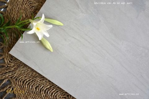  Gạch ốp lát 60x120cm mờ vân đá màu xám trắng Art101M 