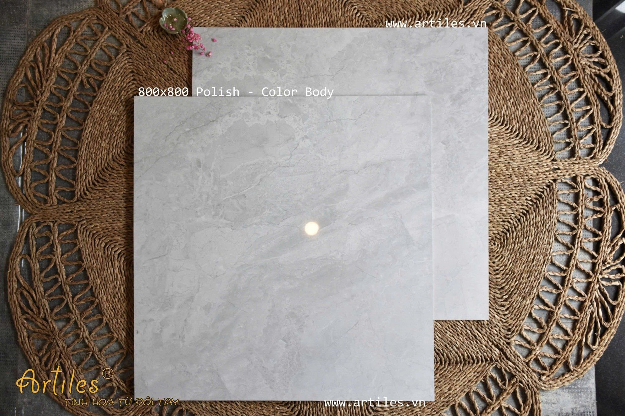 Gạch 80x80cm siêu bóng Art19