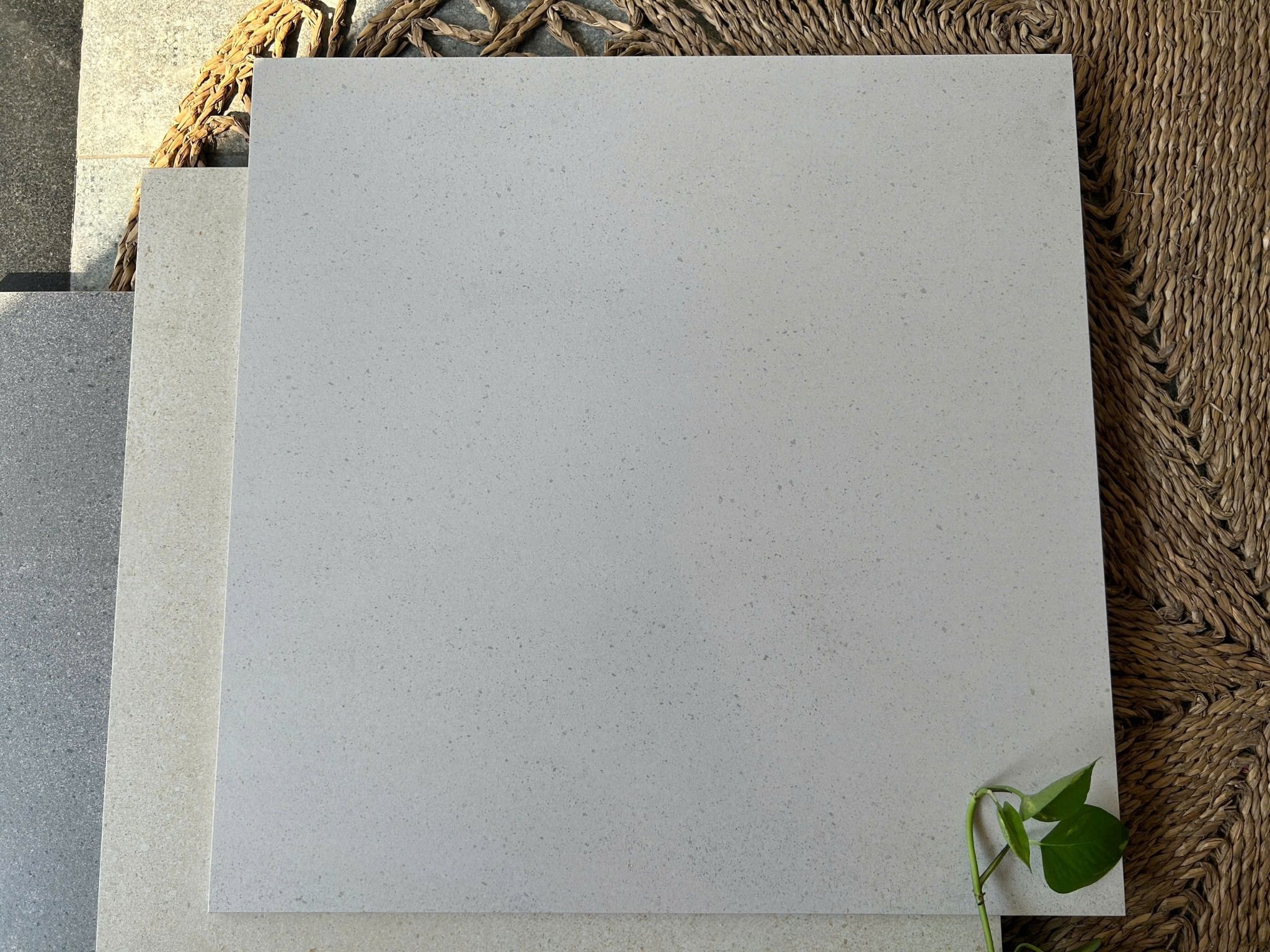 Gạch vân đá nhập Malaysia màu trắng I801