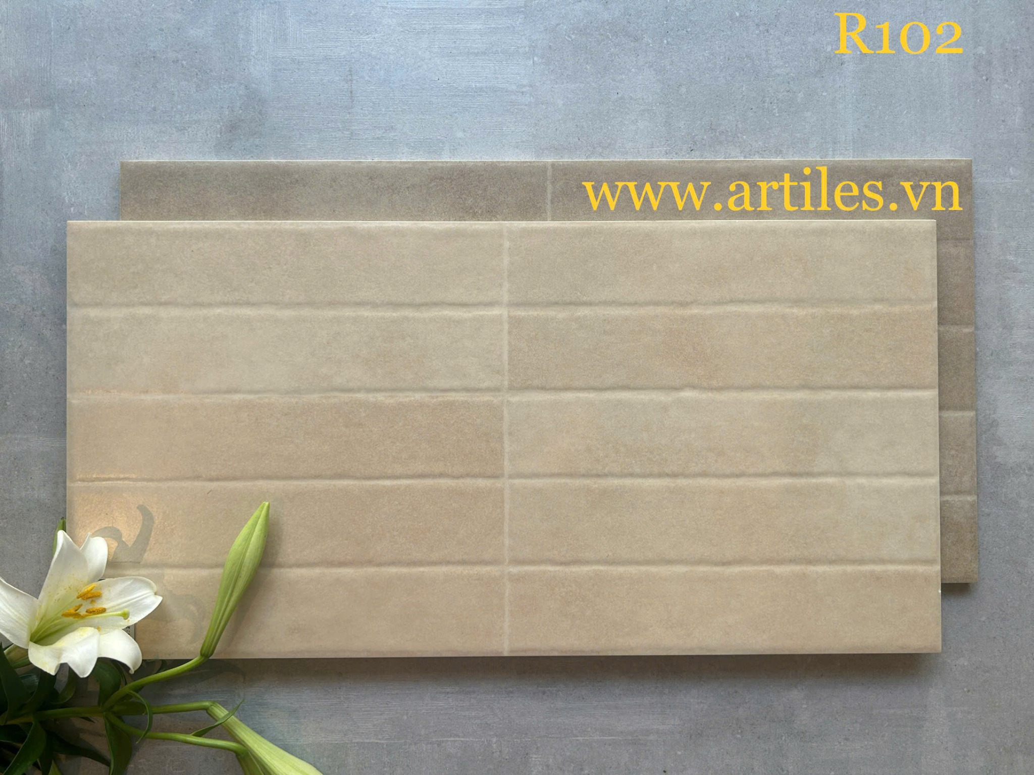 Gạch ốp tường trang trí 30x60cm ArtR102