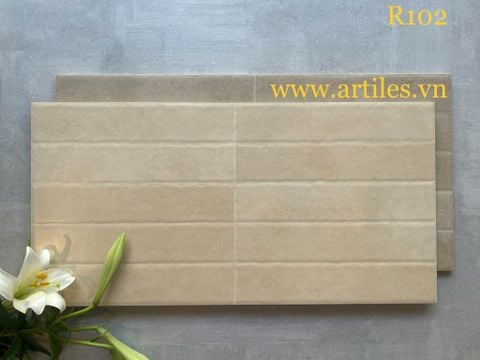  Gạch ốp tường trang trí 30x60cm ArtR102 