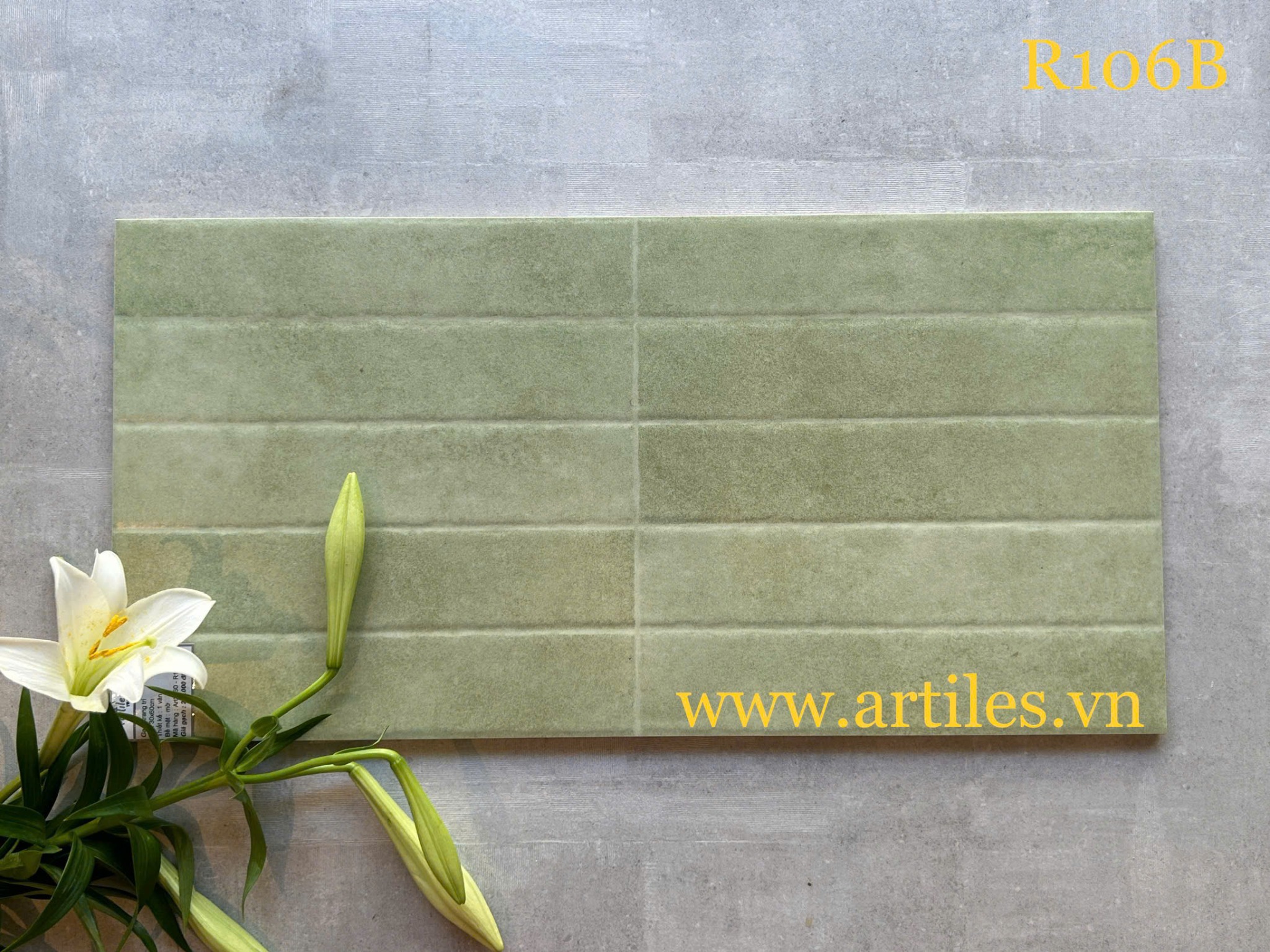 Gạch ốp tường trang trí 30x60cm ArtR106B