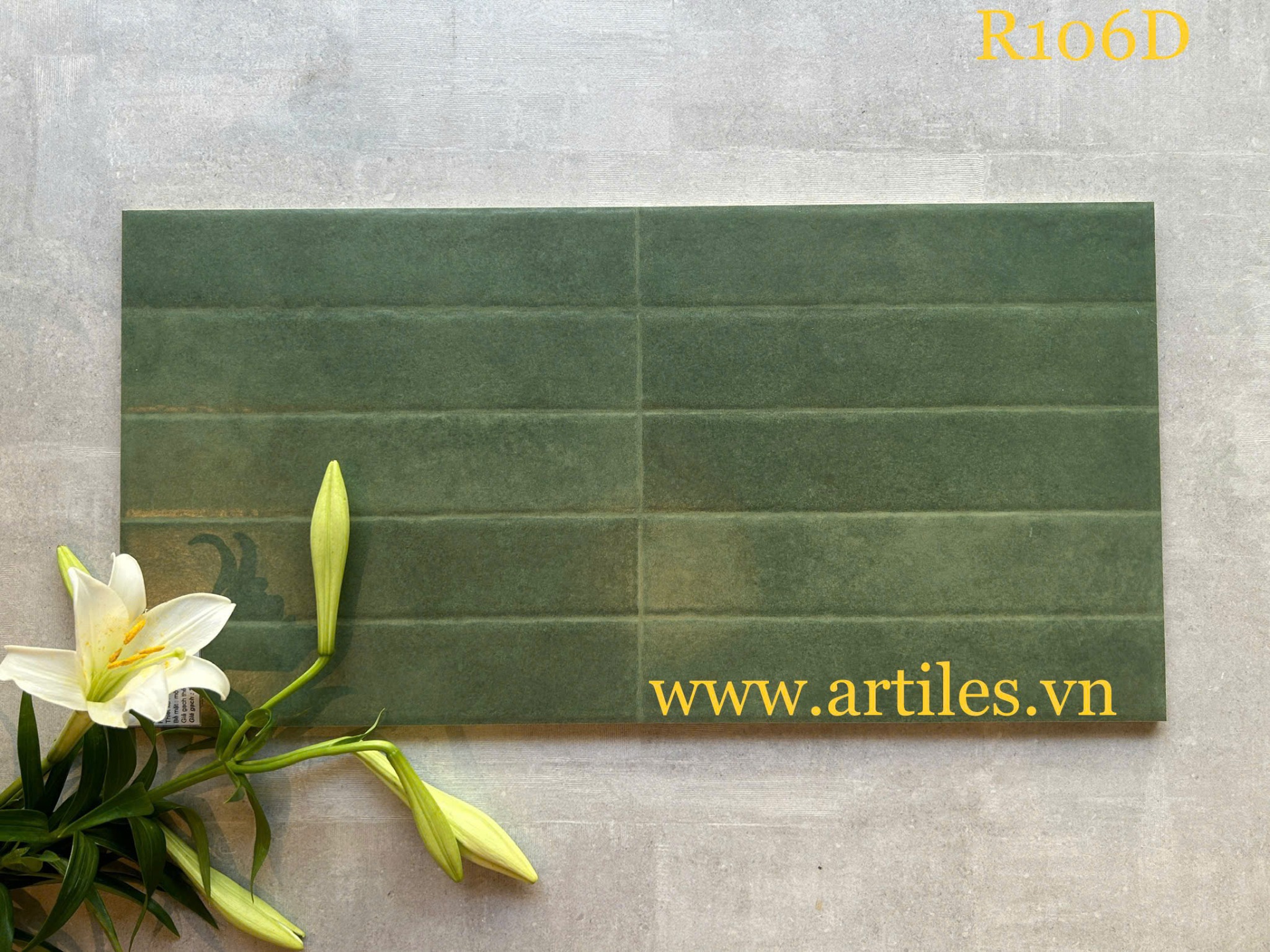 Gạch ốp tường trang trí 30x60cm ArtR106D