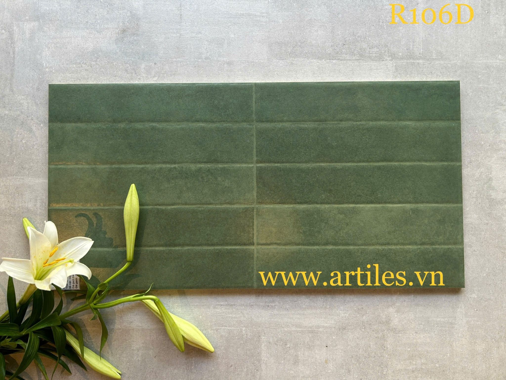 Gạch ốp tường trang trí 30x60cm ArtR106D