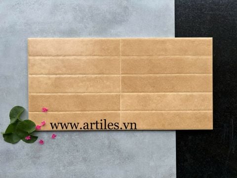  Gạch ốp tường trang trí 30x60cm ArtR109A 