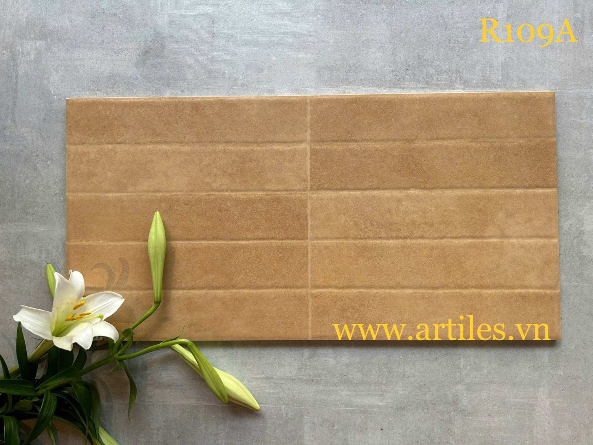 Gạch ốp tường trang trí 30x60cm ArtR109A