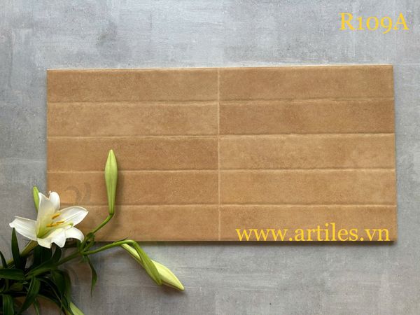 Gạch ốp tường trang trí 30x60cm ArtR109A