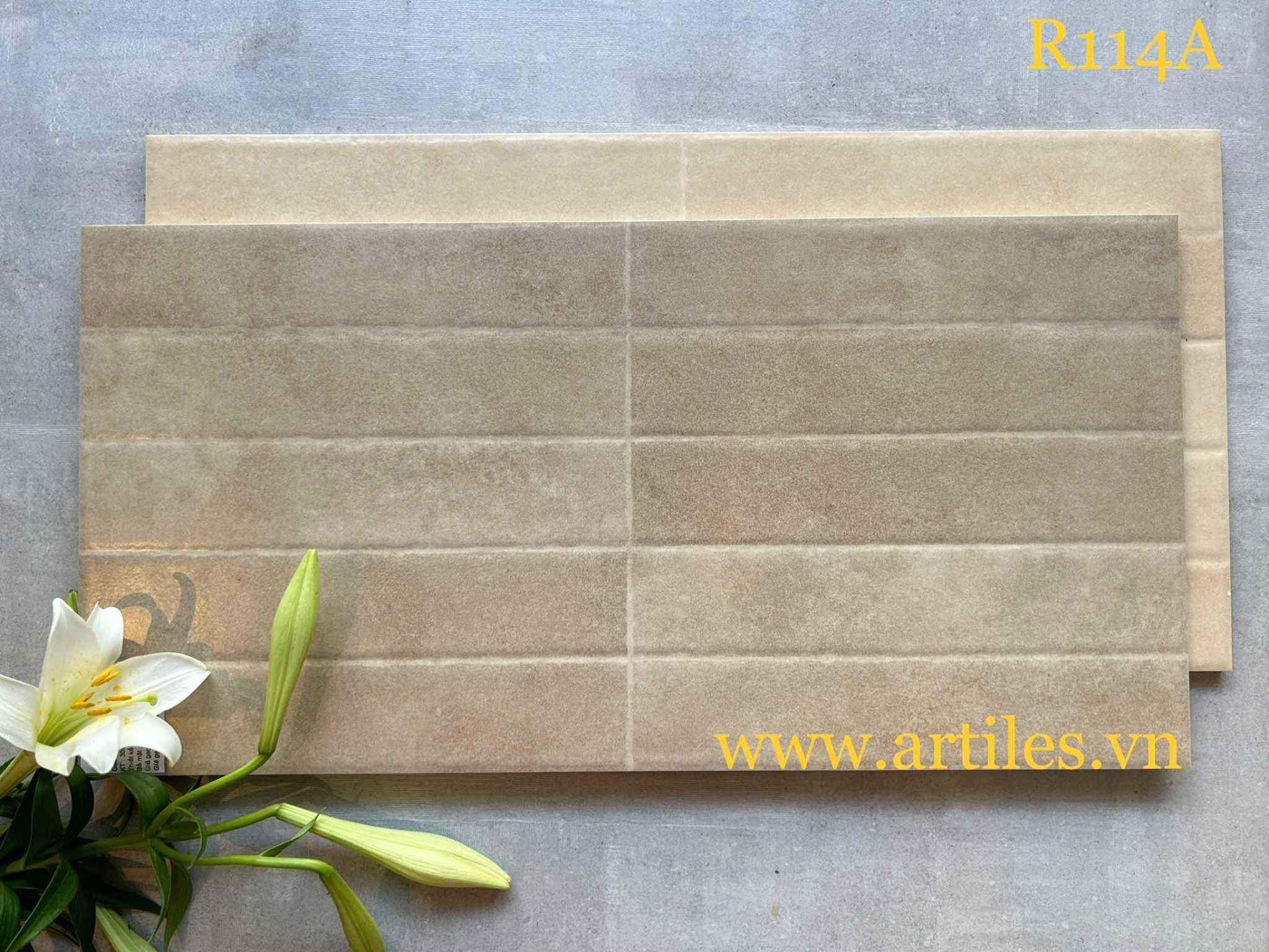 Gạch ốp tường trang trí 30x60cm ArtR114A