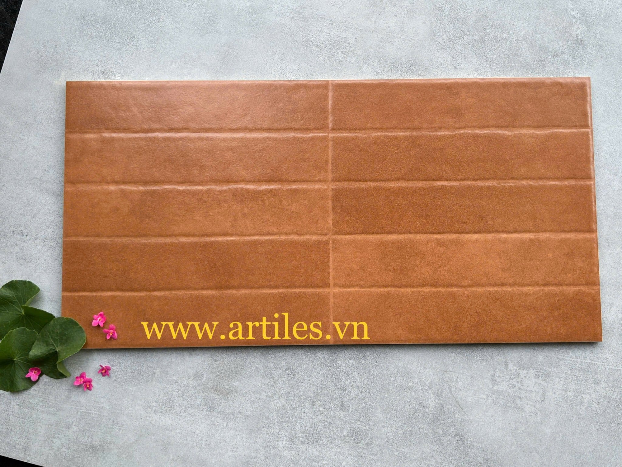 Gạch ốp tường trang trí 30x60cm ArtR119