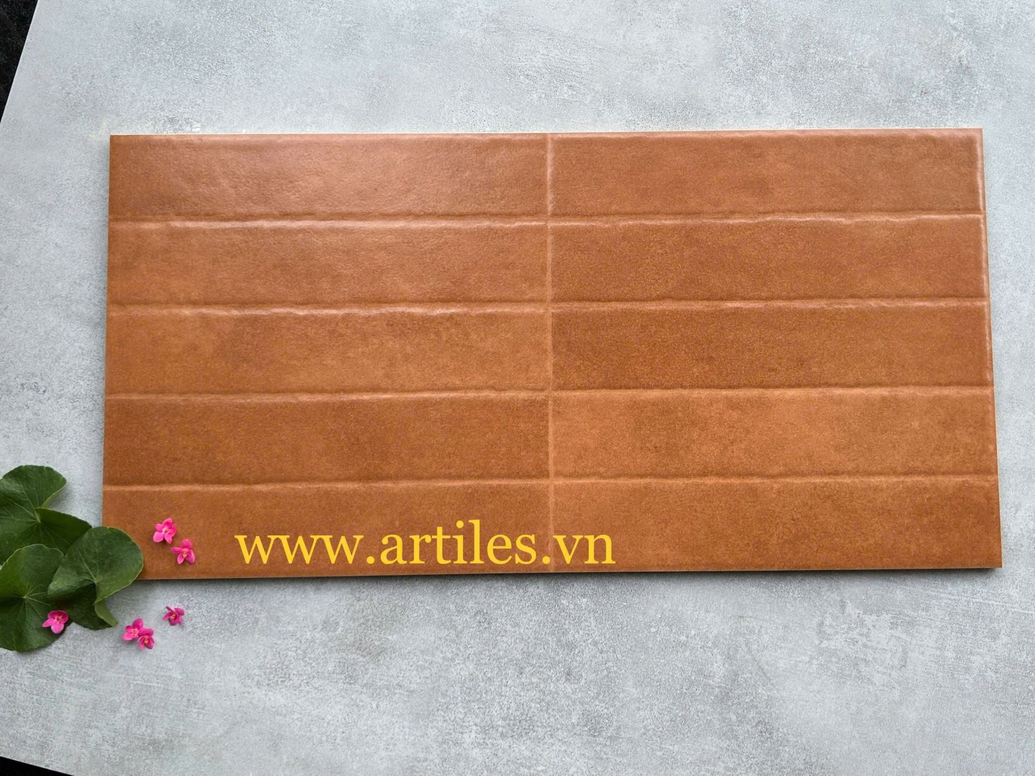 Gạch ốp tường trang trí 30x60cm ArtR119