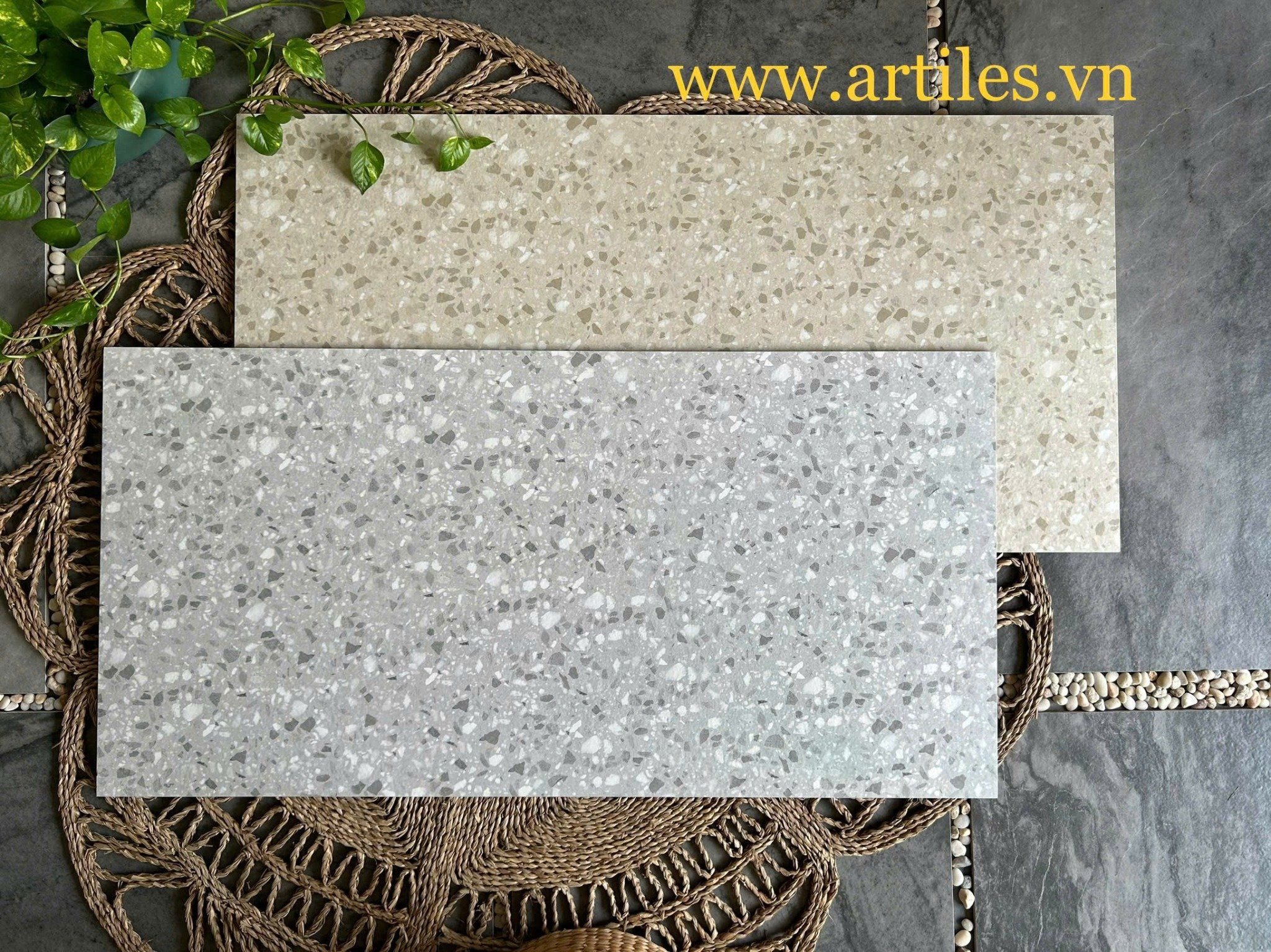Gạch vân đá Terrazzo 60x120cm Art61214
