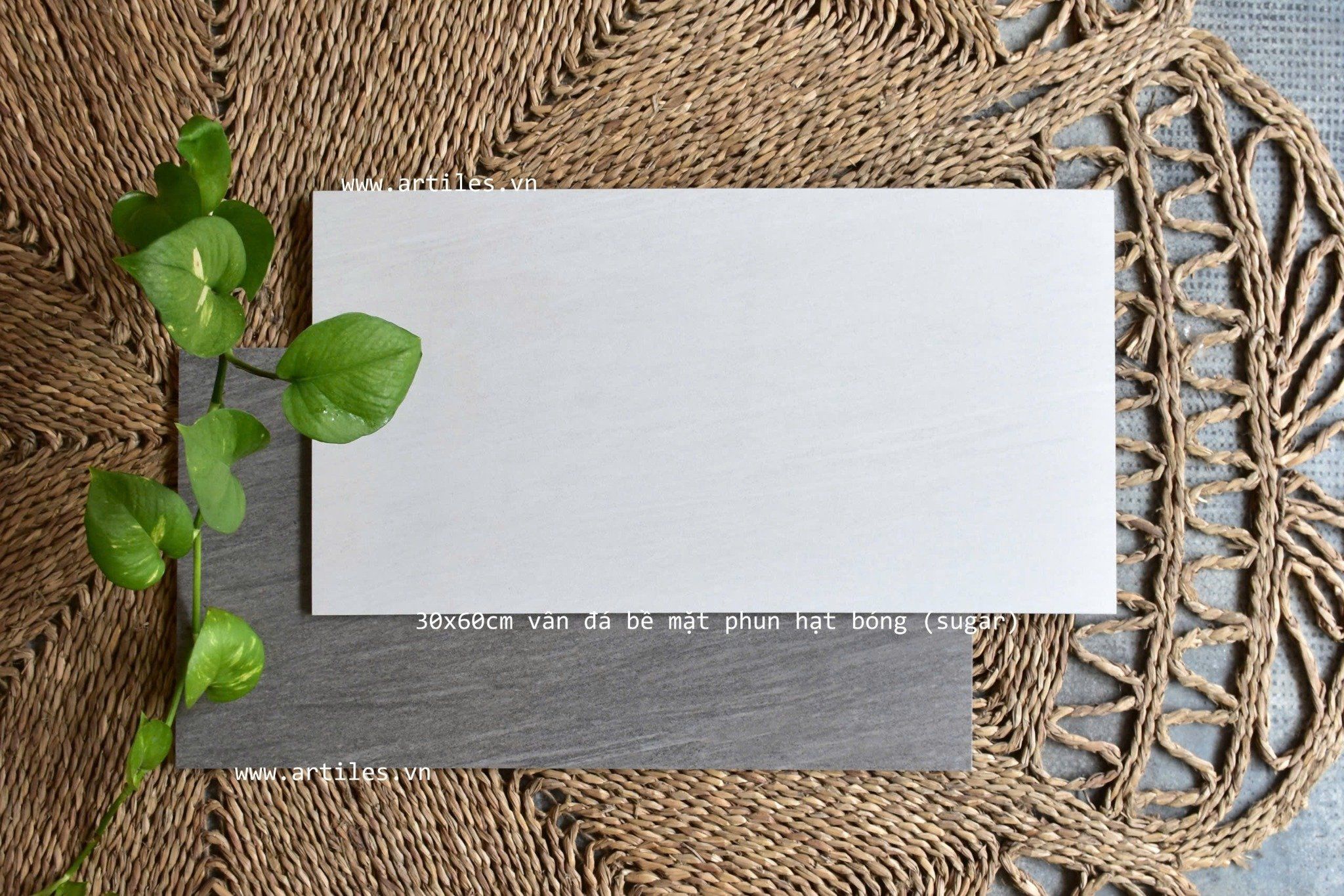 Gạch vân đá sa thạch 30x60cm Art3609