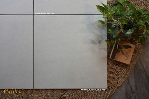  Gạch 60x60 màu xám trắng mờ ArtSM01 