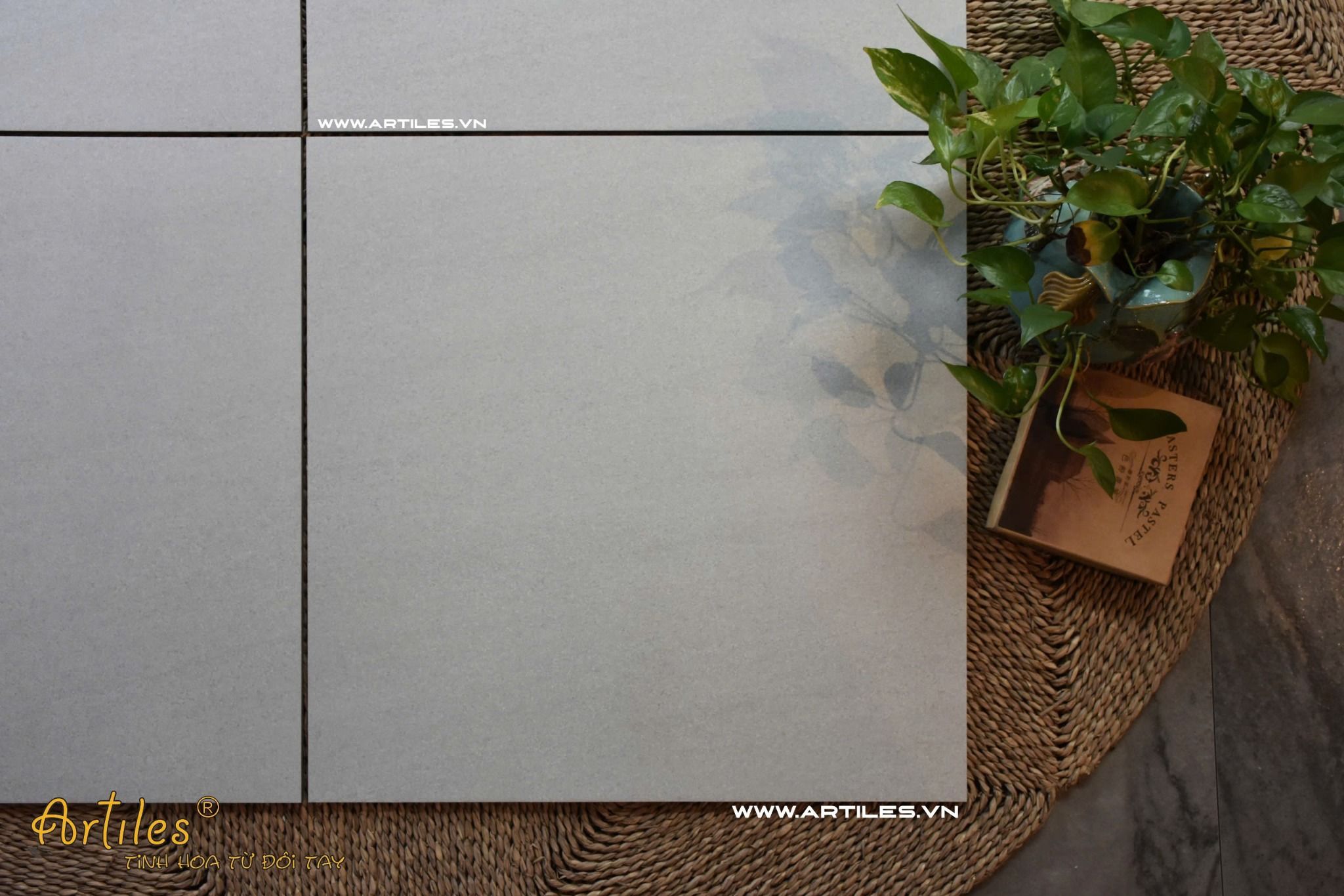 Gạch 60x60 màu xám trắng mờ ArtSM01