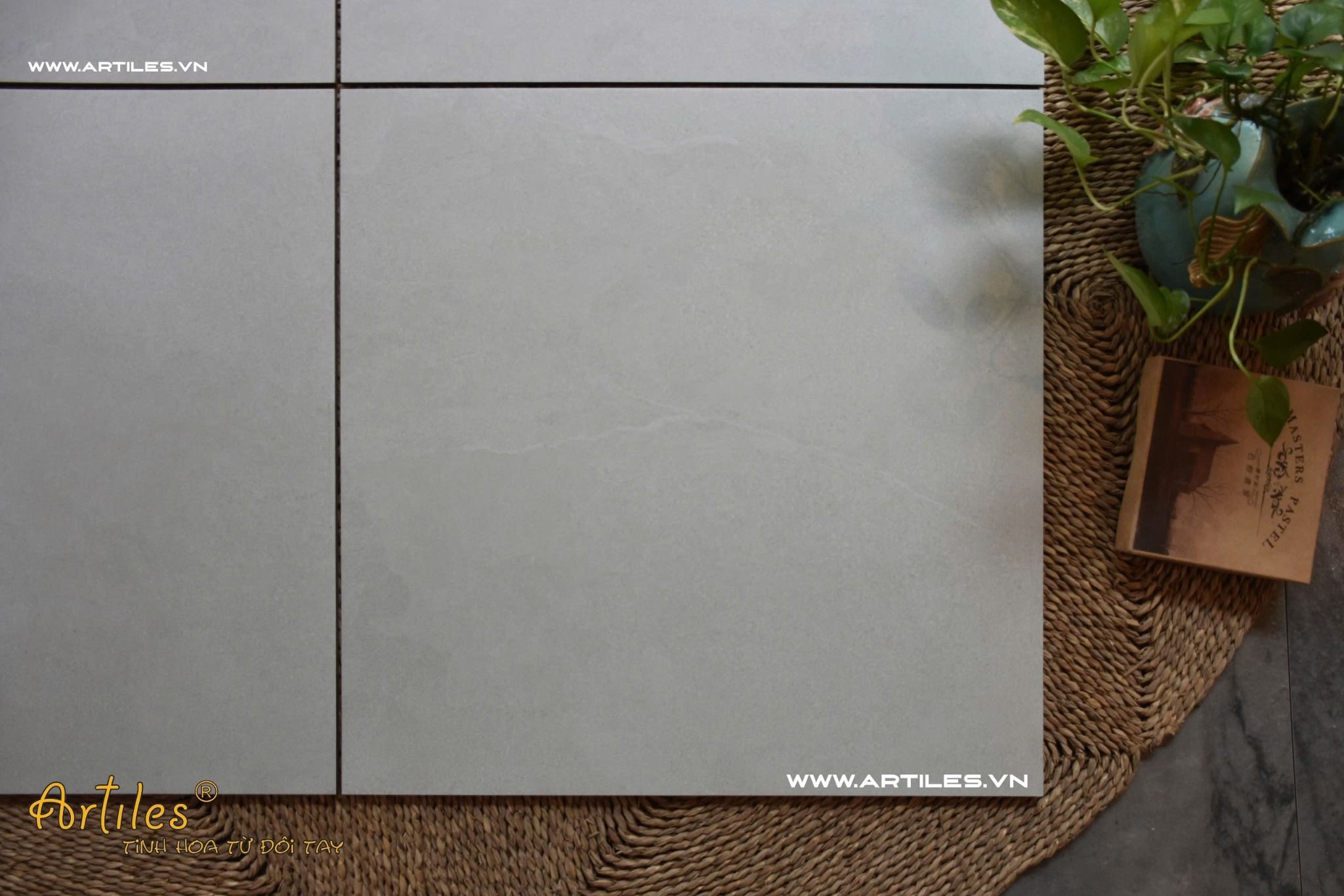 Gạch 60x60 mờ ArtSM05