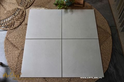  Gạch 60x60 mờ ArtSM05 
