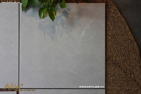  Gạch 60x60 màu xám trắng mờ ArtSM11 