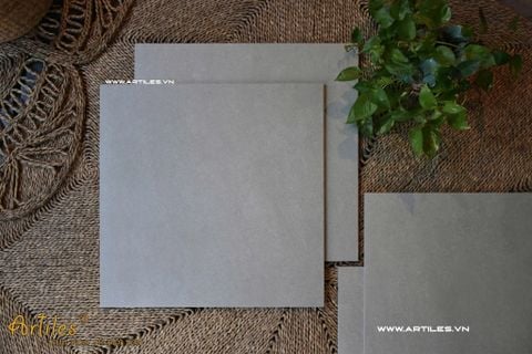  Gạch 60x60 màu xám mờ ArtSM04 