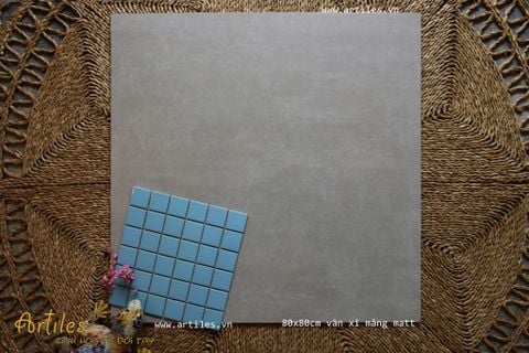  Gạch vân ximang xám nhạt mờ 80x80cm Art021 