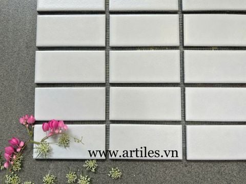 Mosaic chữ nhật màu trắng 45x95mm 