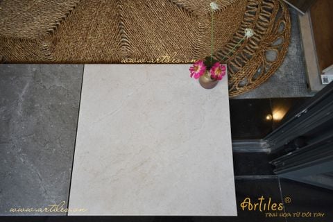  Gạch nhập khẩu Malaysia màu be I701 