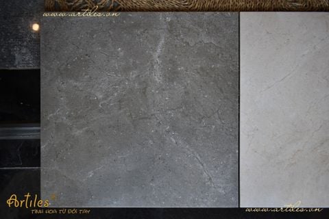  Gạch nhập khẩu Malaysia màu than chì I705 