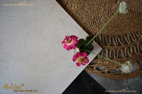  Gạch nhập khẩu Malaysia màu be I701 