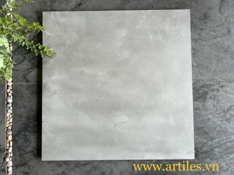  Gạch ốp lát vân ximang Art6602 