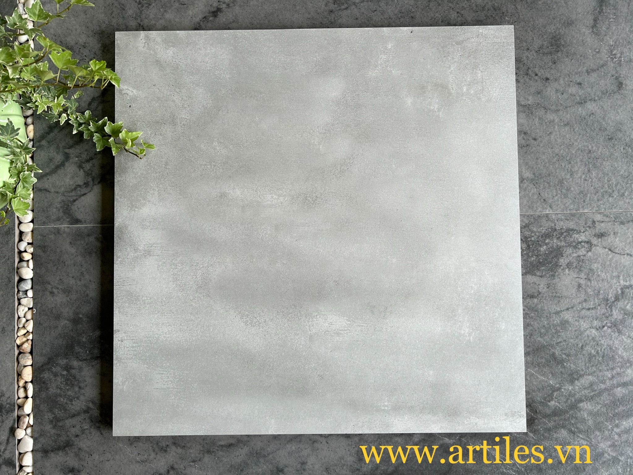 Gạch ốp lát vân ximang Art6602