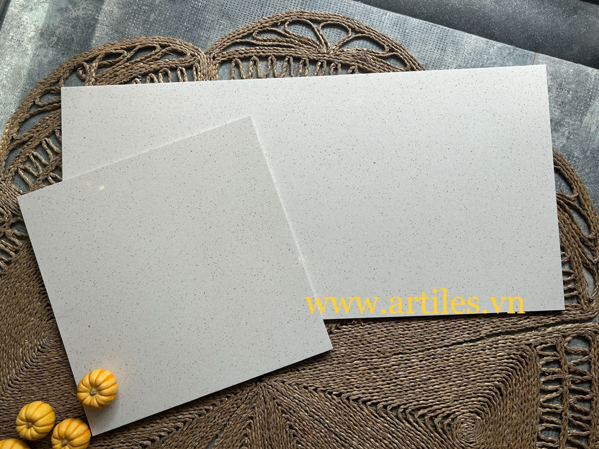 Gạch đá mài terrazzo màu kem màu beige Ter09P