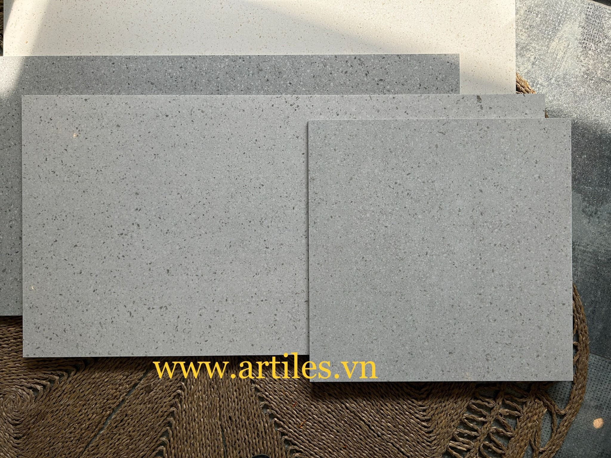 Gạch giả Terrazzo - Gạch đá mài Ter05P