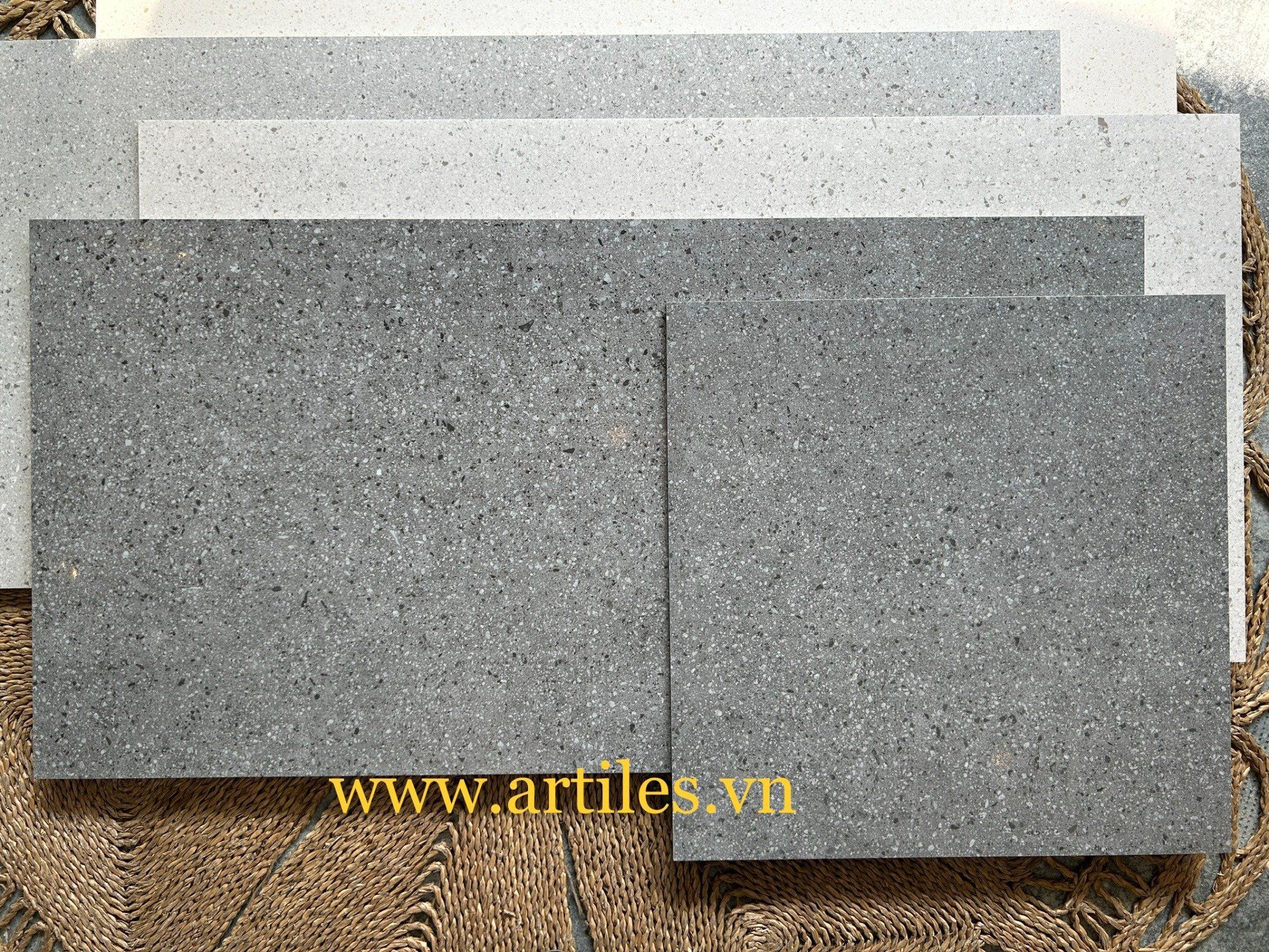 Gạch terrazzo đá mài Art6060 - Ter07P