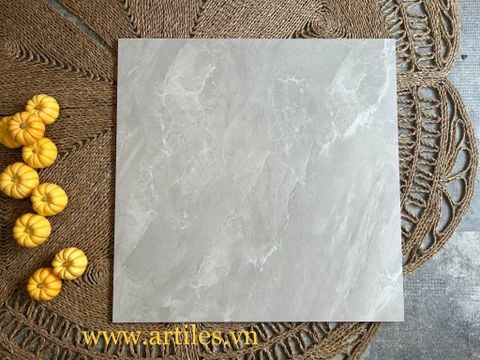  GẠCH BỀ MẶT MỊN LỤA ( BABY SKIN) Art601S 