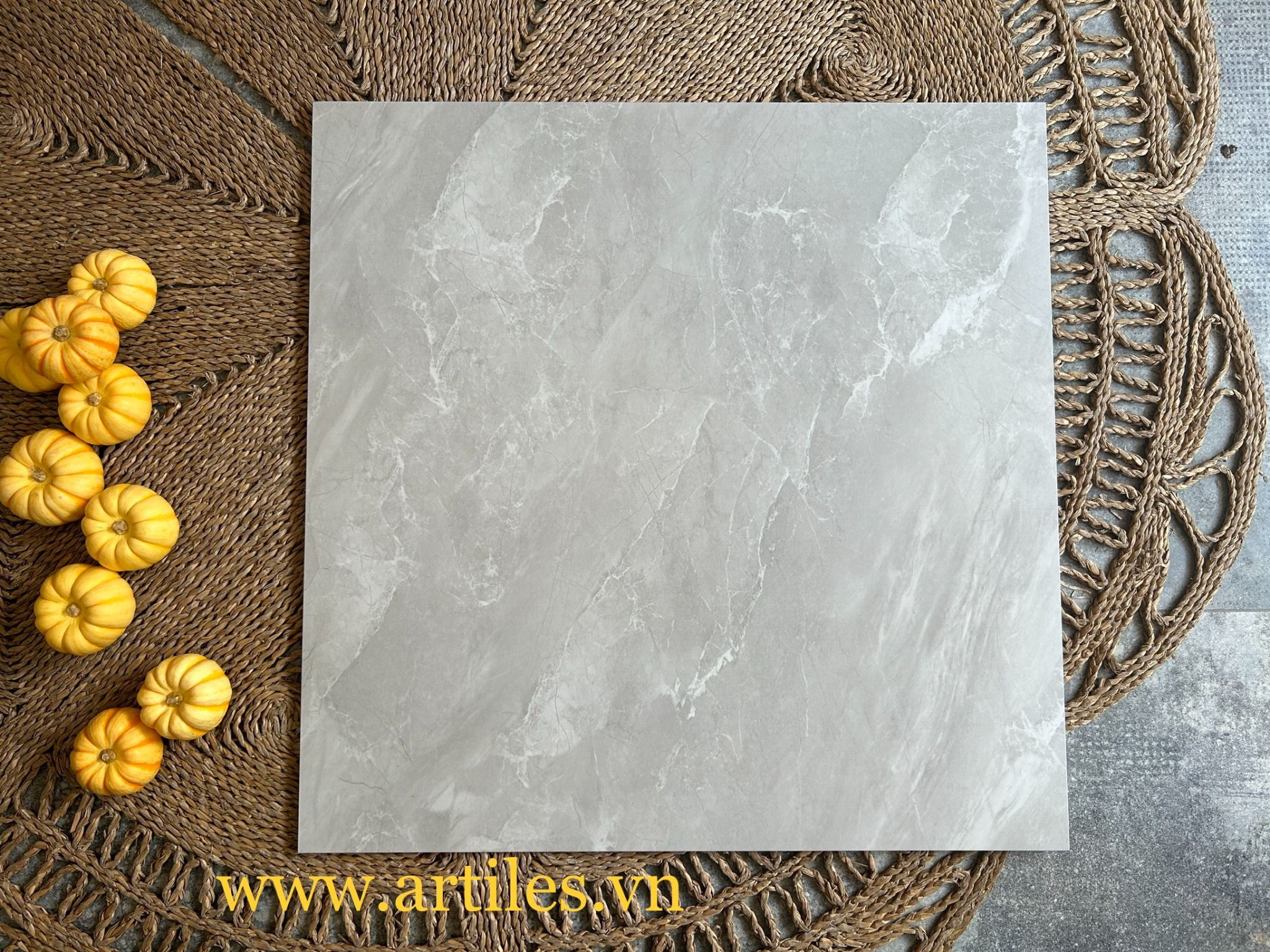 GẠCH BỀ MẶT MỊN LỤA ( BABY SKIN) Art601S