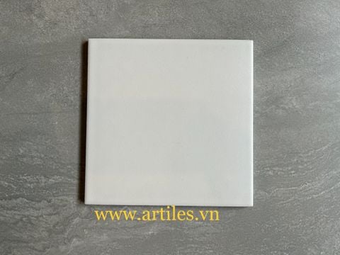  Gạch bông màu trắng trơn 